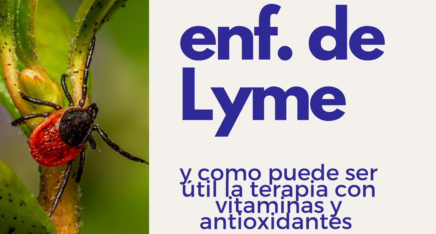 Enfermedad de Lyme y como puede ser útil la administración de vitaminas