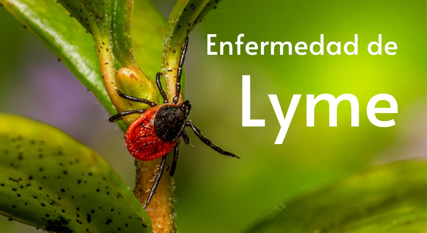 Terapia NAD+ IV para la enfermedad de Lyme (Sueroterapia)